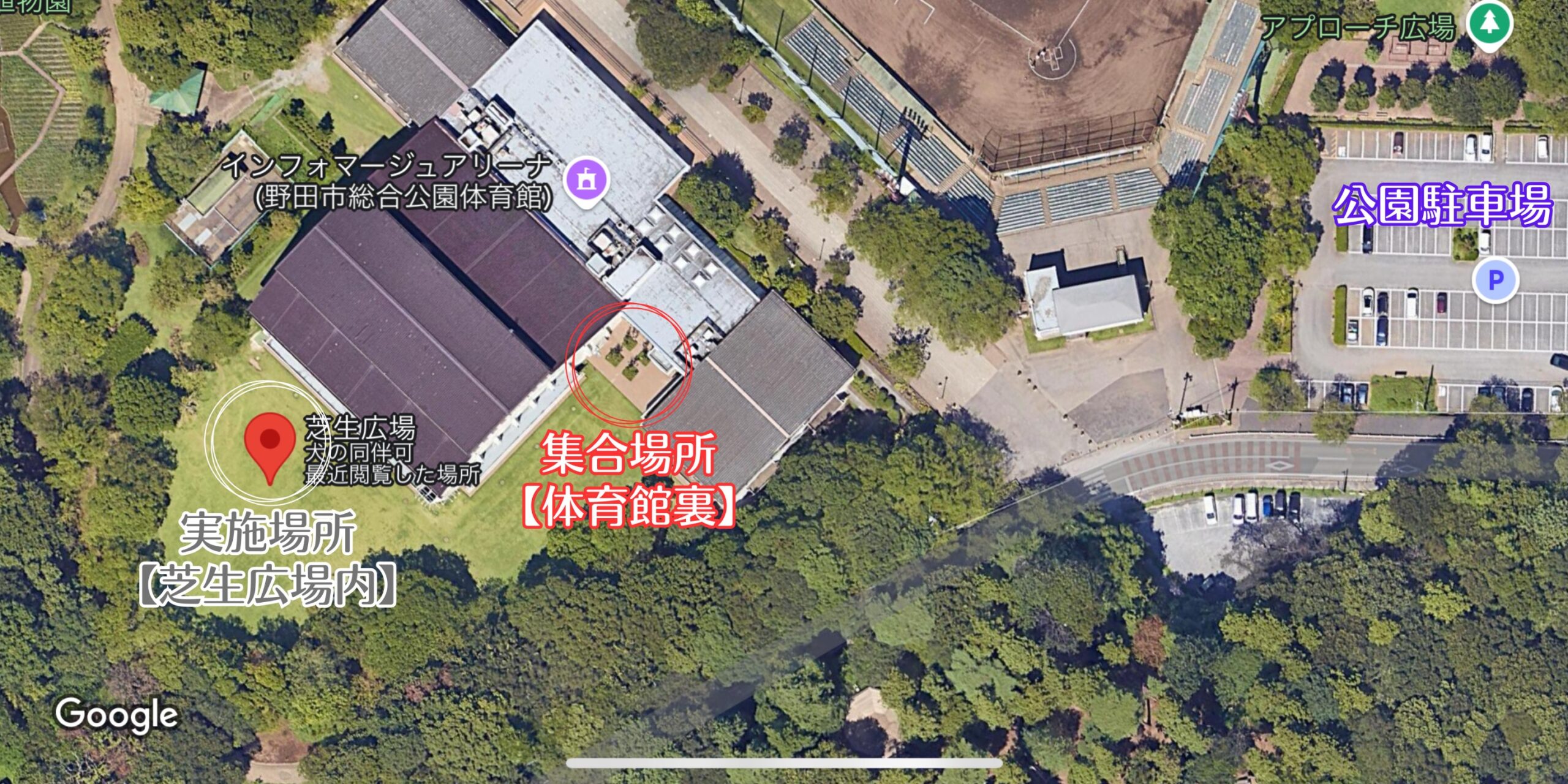 野田市総合公園 芝生広場