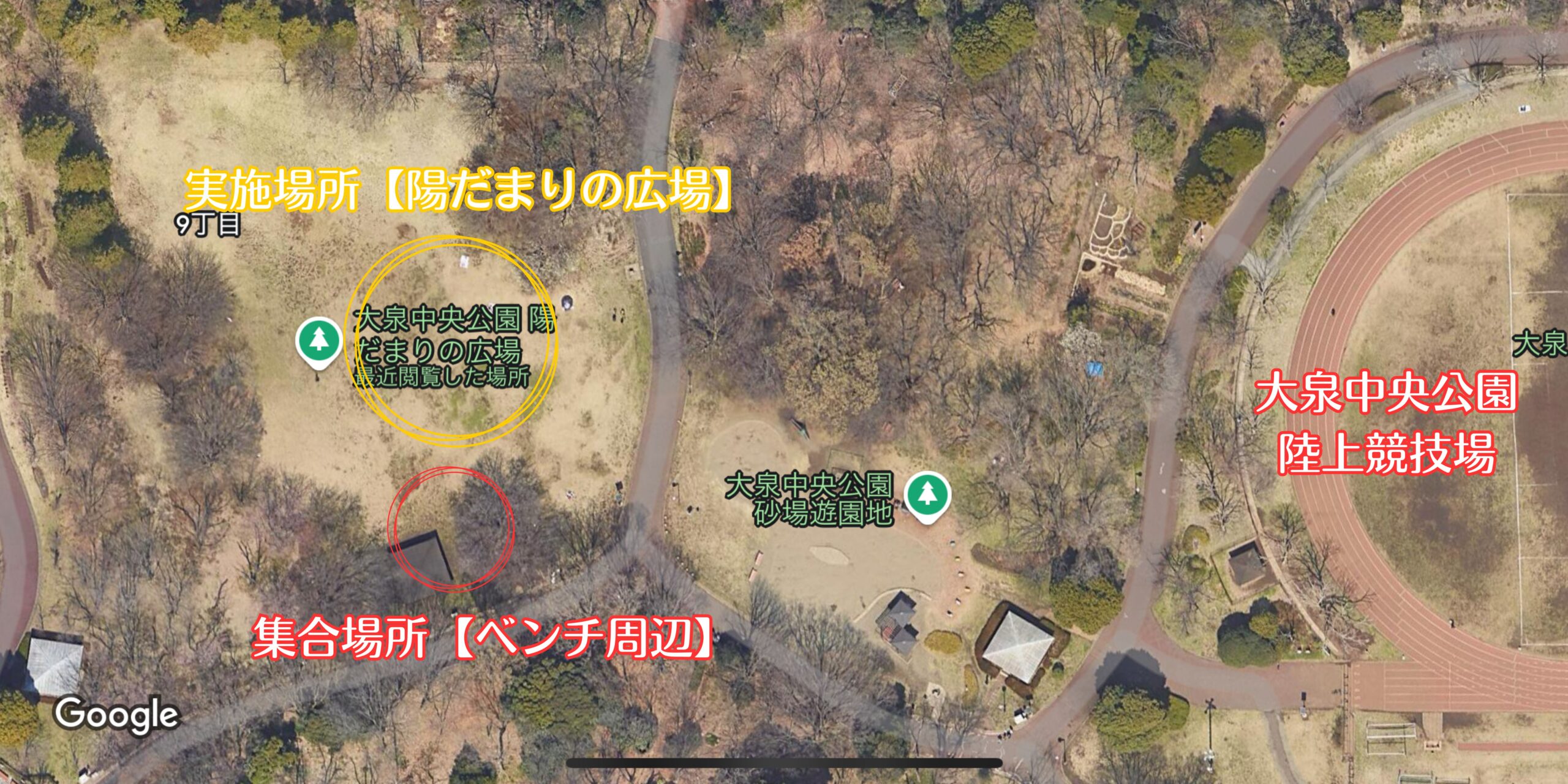 練馬大泉中央公園陽だまりの広場
